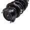 Strut & Spring Assembly