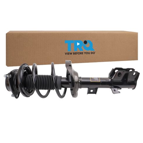 Strut & Spring Assembly
