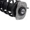Strut & Spring Assembly