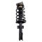 Strut & Spring Assembly