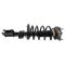 Strut & Spring Assembly