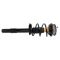 Strut & Spring Assembly