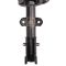 Strut & Spring Assembly