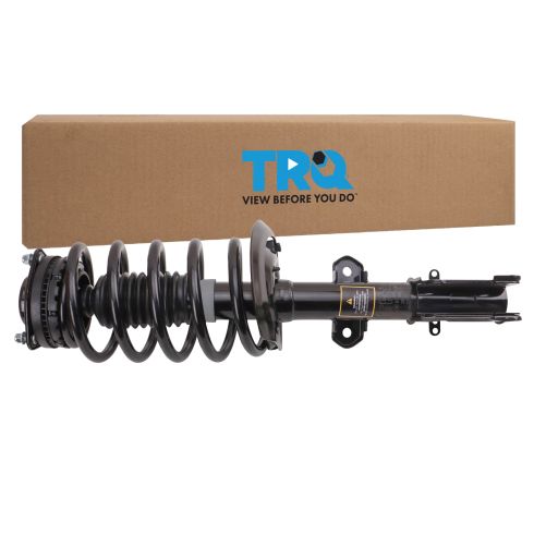 Strut & Spring Assembly