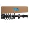 Strut & Spring Assembly