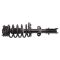 Strut & Spring Assembly