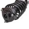 Strut & Spring Assembly