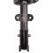 Strut & Spring Assembly