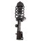 Strut & Spring Assembly