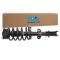 Strut & Spring Assembly