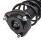 Strut & Spring Assembly