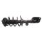 Strut & Spring Assembly