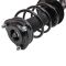 Strut & Spring Assembly