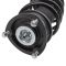 Strut & Spring Assembly