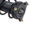 Strut & Spring Assembly