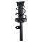 Strut & Spring Assembly