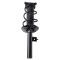 Strut & Spring Assembly