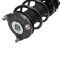 Strut & Spring Assembly