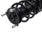 Strut & Spring Assembly