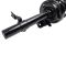 Strut & Spring Assembly