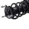 Strut & Spring Assembly