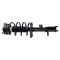 Strut & Spring Assembly
