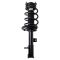 Strut & Spring Assembly