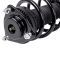 Strut & Spring Assembly