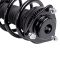 Strut & Spring Assembly
