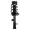 Strut & Spring Assembly
