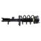 Strut & Spring Assembly