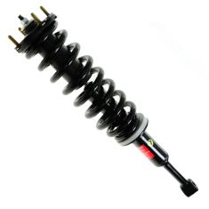 Strut & Spring Assembly