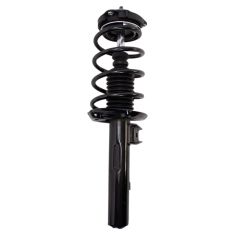 Strut & Spring Assembly