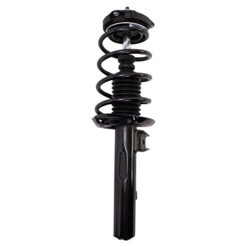 Strut & Spring Assembly