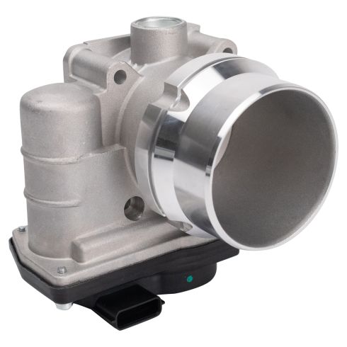 Throttle Body Assembly