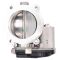 Throttle Body Assembly