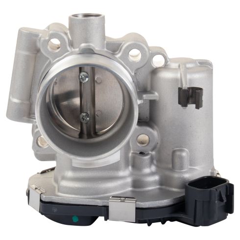 Throttle Body Assembly