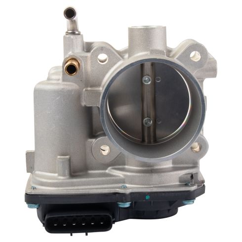 Throttle Body Assembly