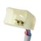 Power Window Motor & Regulator Assembly Set
