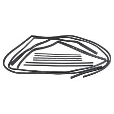 Door Window Belt Weatherstrip Kit