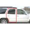 2000-05 Tahoe Yukon Escalade Front Door Seal Pair