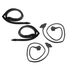 Door and Roof Rail Weatherstrip Seal Kit