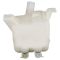Windshield Washer Reservoir