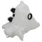 Windshield Washer Reservoir