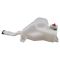 Windshield Washer Reservoir