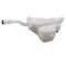 Windshield Washer Reservoir